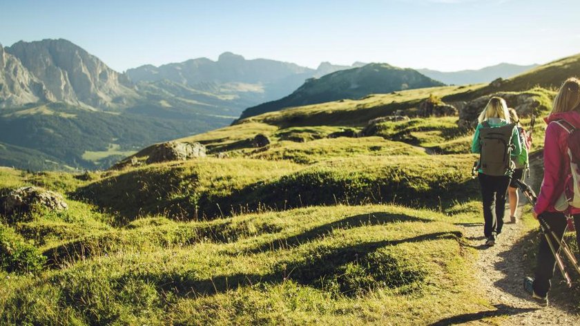 Der Star der Alpenblumen Wanderer auf Wanderweg im sonnigen Bergland mit Felsen im Hintergrund