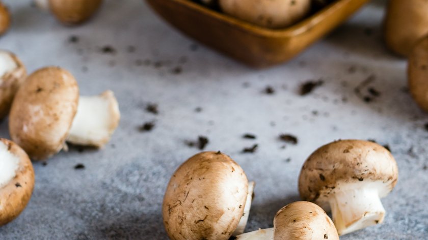 Pilze: die besten Spots und Rezepte Braune und weiße Champignons auf einer Arbeitsfläche und in einer Schale