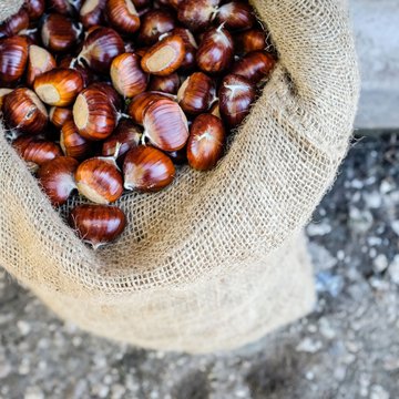 Gudruns Blog: alles über Sterzing, übers Wandern, über Tirol Braune Kastanien in einem Jutesack auf dem Boden