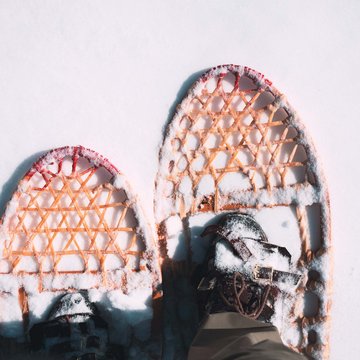 Gudruns Blog: alles über Sterzing, übers Wandern, über Tirol Schneeschuhe mit leicht bedeckten Pfaden im Schnee