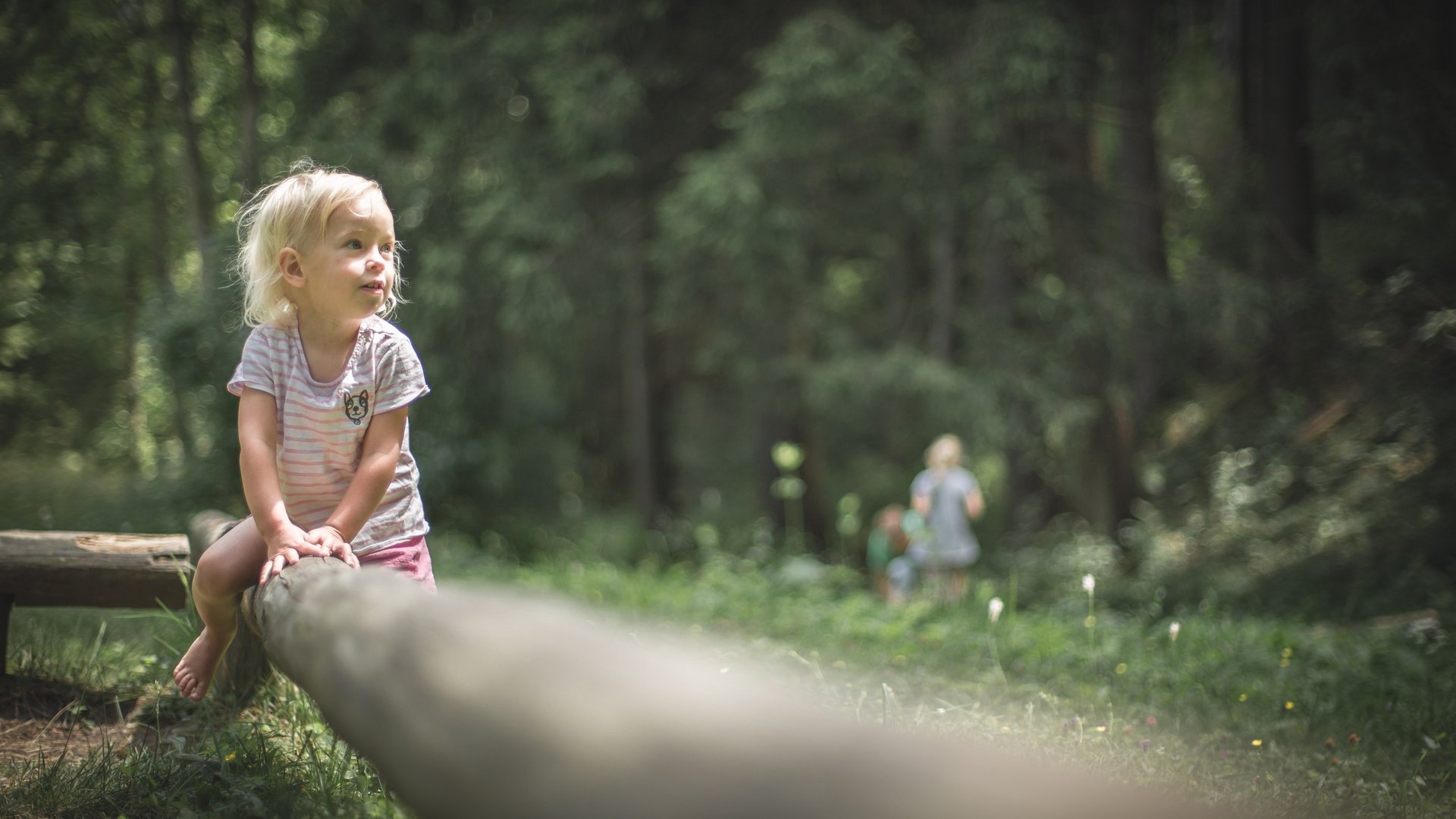 Wandern in Sterzing und Umgebung Kleines Kind sitzt auf einem Baumstamm im Wald