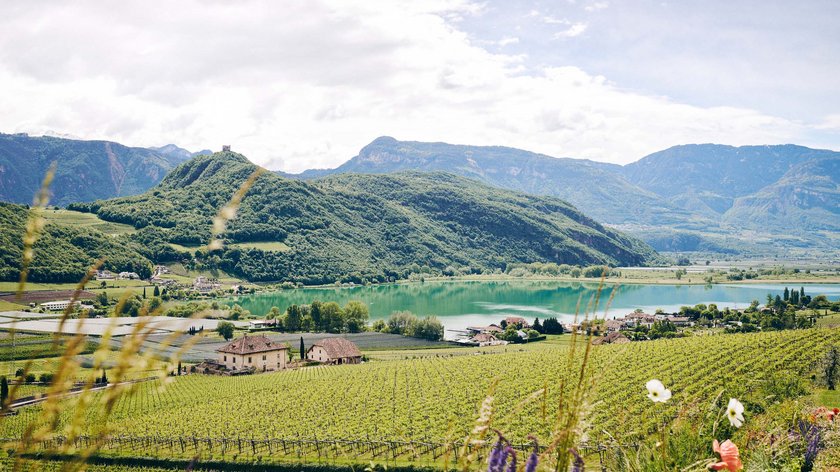 Gudrun entdeckt: das Frühlingstal Blick auf Weinberge, See und Berge unter bewölktem Himmel