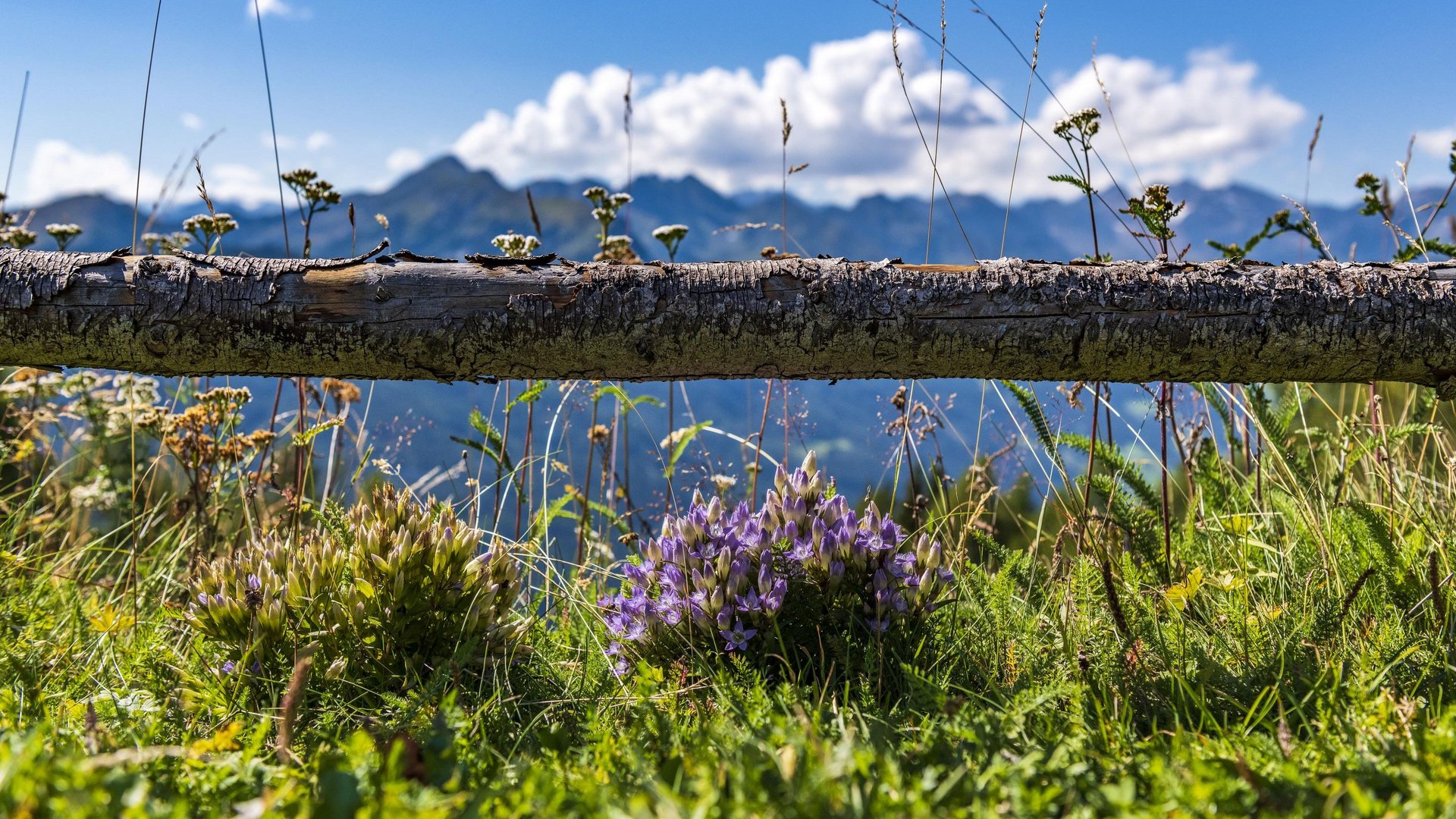 Hotel nahe Pflerschtal: Lage und Anreise