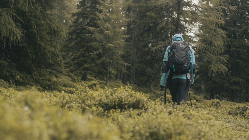 Zwischen Arnika und Enzian Wanderer mit Rucksack wandert durch einen bewaldeten Bereich